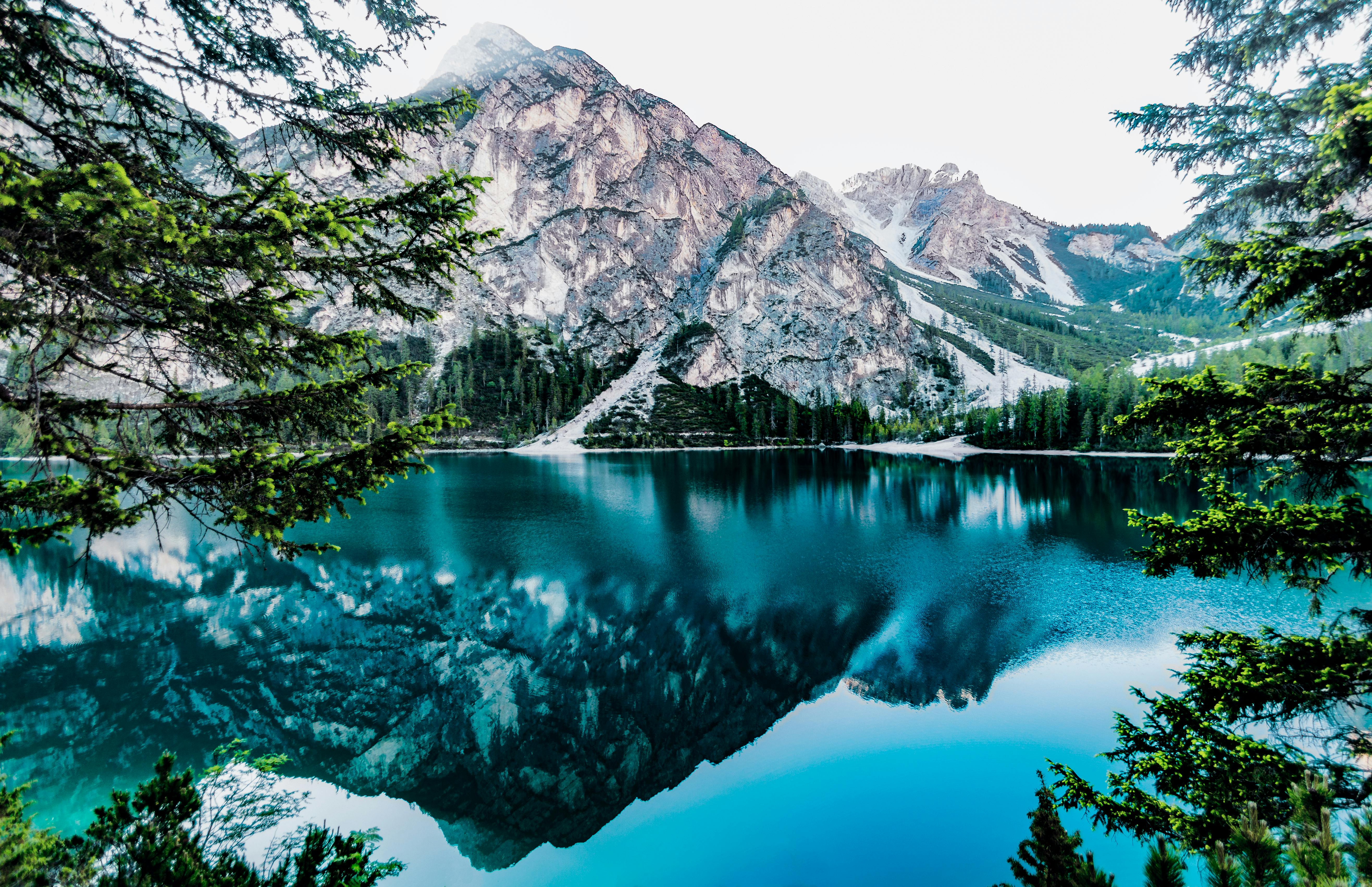 Una landing page con servicios a ofrecer junto a un formulario echo con JavaScript
